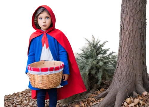 little red riding hood,red riding hood,wirt,red coat,redcoat,girl with tree,gretel,befana,storybook character,duende,handmaid,gavroche,mabon,the witch,zouave,coraline,compositing,handmaids,it,red cape,Photography,Black and white photography,Black and White Photography 13