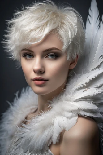white feather,angel wings,angel wing,white eagle,white dove,harpy,angel girl,whitewings,baroque angel,angelman,white bird,white fox,white swan,derivable,white rose snow queen,vintage angel,angel figure,archangel,angel,dark angel,Photography,General,Fantasy