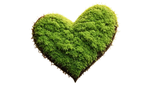 greenheart,green wallpaper,love earth,ecopeace,eco,ecotrust,greentech,greeniaus,envirocare,tree heart,loveourplanet,environmentally sustainable,greenwash,sgreen,green living,green power,aaaa,herbed,leaf background,greenmail,Illustration,Realistic Fantasy,Realistic Fantasy 26