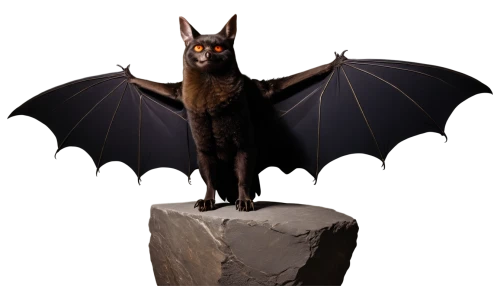 chiroptera,bat,fledermaus,torbat,pazuzu,hipposideros,fruit bat,battallion,dutchbat,purgatoire,myotis,tropical bat,batjac,jarusombat,foxbat,gargoyle,megabat,hanging bat,halloween cat,tarbat,Art,Classical Oil Painting,Classical Oil Painting 14