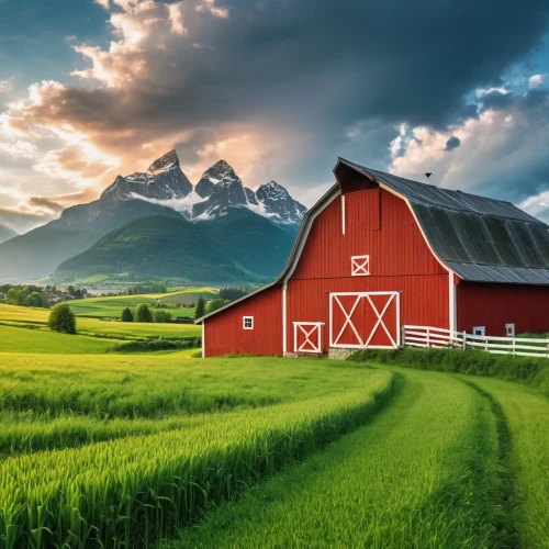 red barn,farm background,farm landscape,bucolic,rural landscape,landscape background,barn,agriculturally,barns,countryside,field barn,aaaa,farmland,country,home landscape,country side,aaa,agriculture,meadow landscape,beautiful landscape,Photography,General,Realistic