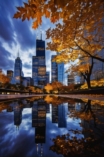 sears tower,chicago skyline,chicagoland,philadelphia,philadelphian,chicago,fall landscape,detriot,chicagoan,dearborn,cityscapes,illinoian,one world trade center,world trade center,philadelphi,central park,willis tower,phila,big apple,city scape,Illustration,Japanese style,Japanese Style 12