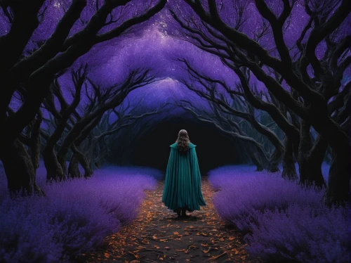 fantasy picture,the mystical path,purple landscape,hollow way,schierholtz,the path,pathway,fantasy art,la violetta,schierstein,forest of dreams,elfland,forest path,photomanipulation,druidry,galadriel,pilgrimage,world digital painting,purple blue ground,the dark hedges,Photography,Documentary Photography,Documentary Photography 08