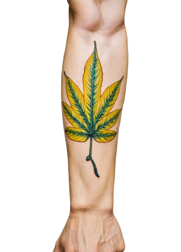 body art,bodypainting,body painting,huana,cannabidio,legalize,bodypaint,palm leaf,schefflera,naturopathic,tatoo,tattoo,sclerotherapy,legalization,cannabidiol,artificial joint,cannabinol,rose leaf,lotus tattoo,green leaf,Illustration,Paper based,Paper Based 24