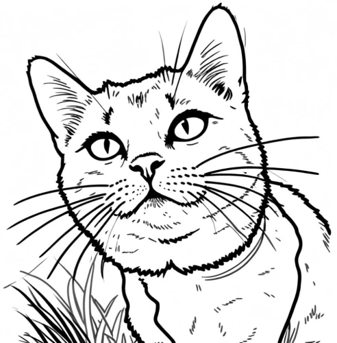 coloring pages,cat line art,coloring page,coloring pages kids,line art animal,drawing cat,calico cat,cartoon cat,cat portrait,cat vector,cat cartoon,cat drawings,doodle cat,tabby cat,red tabby,whiskered,whisker,my clipart,bewhiskered,line art animals,Design Sketch,Design Sketch,Rough Outline