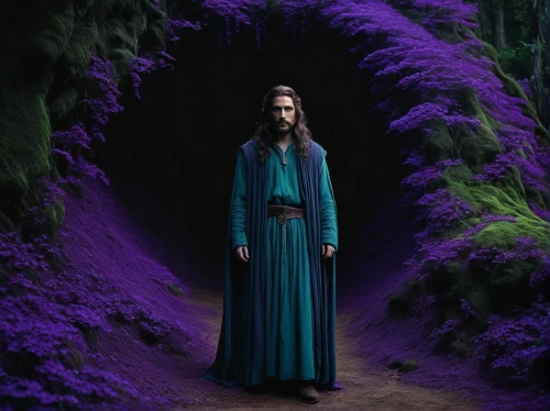 kahlan,elrond,mirkwood,thingol,elven forest,arwen,volturi,valar,silmarillion,galadriel,fantasy picture,lubezki,lorien,sorceror,mughul,isildur,celeborn,elvish,la violetta,elven,Photography,Documentary Photography,Documentary Photography 08