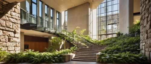 atriums,atrium,courtyards,wintergarden,entryway,inside courtyard,schulich,foyer,lobby,breezeway,courtyard,benaroya,landscaped,amanresorts,robarts,tulane,entryways,seidler,greystone,stone stairway,Illustration,Retro,Retro 21