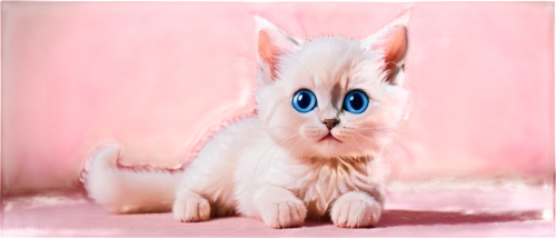 blue eyes cat,cat with blue eyes,garrison,cartoon cat,siamese cat,jayfeather,ophthalmia,monicagate,murgatroyd,cat on a blue background,cat look,birman,kittu,miqdad,kittner,pink cat,kittenish,miqati,kittleson,furby,Conceptual Art,Sci-Fi,Sci-Fi 24