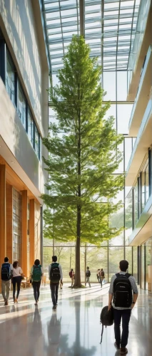 atriums,school design,metasequoia,weyerhaeuser,modern office,lendingtree,forest workplace,cupertino,atrium,daylighting,big trees,treepeople,blur office background,enloe,streamwood,cedarbaum,saplings,schulich,the trees,ucd,Illustration,Realistic Fantasy,Realistic Fantasy 25