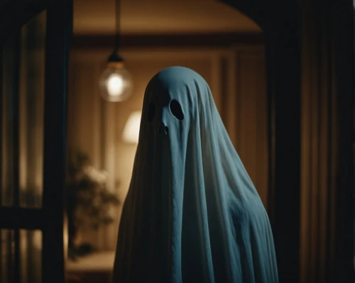 fantasma,burqa,cloaked,ghostley,obake,ghost girl,bhoot,insidious,ghostlike,burqin,ghosting,veiled,llorona,niqab,ghost,the nun,zentai,ghosananda,ghosheh,burqas,Photography,General,Cinematic