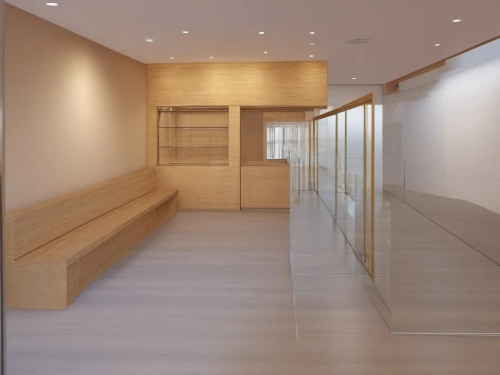 hallway space,associati,assay office,millwork,walk-in closet,modern office,laminated wood,search interior solutions,conference room,oticon,gensler,interior modern design,daylighting,offices,wood casework,schrank,bureaux,paneling,corian,tishman,Photography,General,Realistic