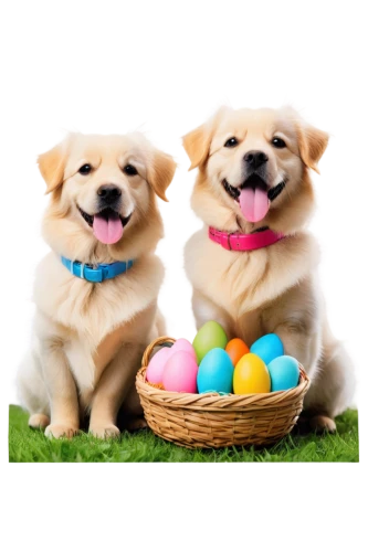 easter dog,easter background,easter rabbits,easter theme,easter celebration,happy easter hunt,happy easter,colored eggs,easter eggs,easter banner,easter chicks,easter card,color dogs,easter basket,easter,egg hunt,puppies,playing puppies,corgis,cheerful dog,Illustration,Realistic Fantasy,Realistic Fantasy 27
