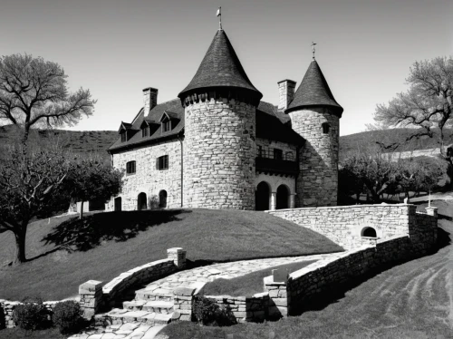 carcassone,monbazillac castle,chateauneuf,waldeck castle,santenay,vougeot,gevrey,bach knights castle,cahors,taufers castle,perigord,castle of hunedoara,apremont,castle sans souci,revište castle,wewelsburg,old castle,neufchateau,carcassonne,chaumont,Illustration,Black and White,Black and White 33