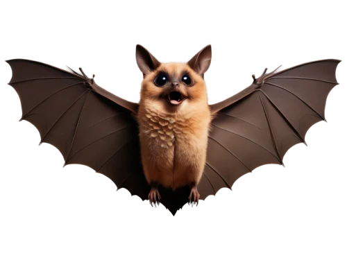 chiroptera,dutchbat,fruit bat,tropical bat,bat,hipposideros,fledermaus,torbat,hanging bat,foxbat,bat smiley,myotis,lantern bat,batjac,pipistrelle,jarusombat,pipistrellus,bats,battallion,bombyx,Illustration,Realistic Fantasy,Realistic Fantasy 06