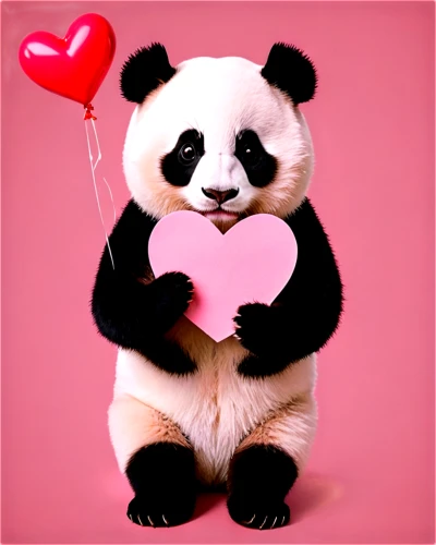 beibei,pandita,kawaii panda,panda bear,valentine bears,pandelis,pandl,pandi,panda,pandeli,pandith,pandor,pancham,little panda,pandu,valentine day,happy valentines day,valentine's day,pandabear,pandolfo,Unique,Paper Cuts,Paper Cuts 06