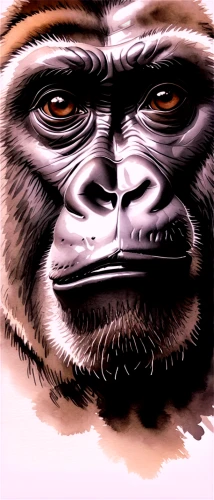 ape,gorilla,apeman,gimlin,paranthropus,shabani,prosimian,primate,simian,utan,palaeopropithecus,orangutan,primatology,hominoid,hominick,virunga,gigantopithecus,orang utan,australopithecus,apes,Illustration,Paper based,Paper Based 30