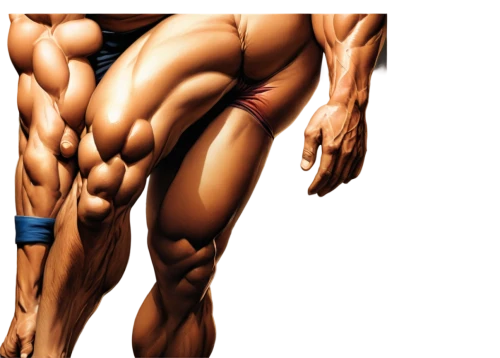 musculature,muscle angle,musclebound,muscular system,body scape,bodybuilders,body building,muscularity,hamstrings,musclemen,striations,latissimus,muscularly,edge muscle,polykleitos,sculpt,intermuscular,bodybuilder,gluteus,muscle icon,Conceptual Art,Oil color,Oil Color 04