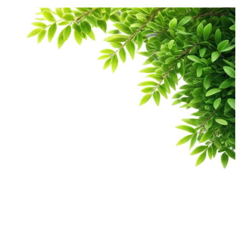 green wallpaper,spring leaf background,green background,nature background,green tree,intensely green hornbeam wallpaper,leaf background,green leaves,spring background,green,lemon background,greened,leaf green,birch tree background,free background,aaaa,fir green,nature wallpaper,greenness,greening,Art,Classical Oil Painting,Classical Oil Painting 06