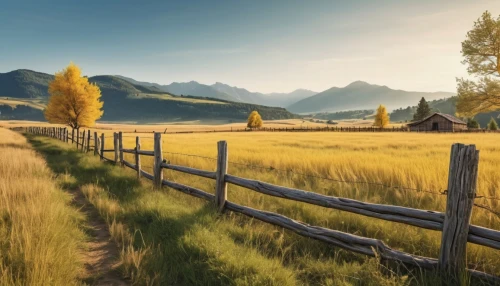 pasture fence,meadow landscape,landscape background,wooden fence,salt meadow landscape,fence posts,mountain meadow,yellow grass,beautiful landscape,fall landscape,rural landscape,autumn landscape,meadow rues,fenceline,nature landscape,nature background,fenceposts,home landscape,alpine meadow,grasslands,Photography,General,Realistic