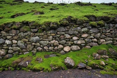 stone wall road,stone fence,stonewalls,moss landscape,drystone,background with stones,stone wall,stonewalling,hedwall,sheepfold,bogland,rockeries,kilfenora,wall,ireland,walling,bogden,grono,cry stone walls,mountain stone edge,Photography,General,Realistic