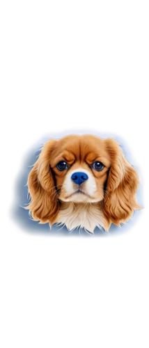 cavalier king charles spaniel,pekinese,shih tzu,dog illustration,cavalier,ein,telegram icon,portrait background,transparent background,garrison,dog drawing,skype icon,on a transparent background,pomerania,colored pencil background,pomeranians,dog cartoon,dogana,my clipart,shih,Illustration,Paper based,Paper Based 04