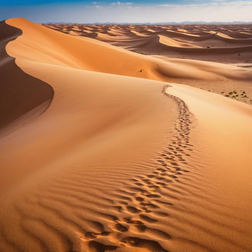 libyan desert,gobi desert,namib desert,desert desert landscape,namib,deserto,the gobi desert,sahara desert,desert landscape,capture desert,namibia,sand dunes,argentina desert,namib rand,crescent dunes,sahara,colorado sand dunes,admer dune,liwa,merzouga