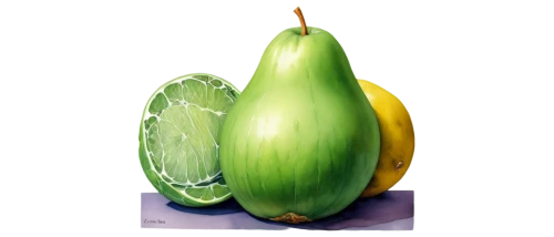 pinya,pipino,bottle gourd,chayote,pepino,pitahaya,poblano,honeydew,repnin,green apple,asparagaceae,green bell pepper,patrol,digital painting,watermelon painting,pitahaja,cucuy,water apple,bell apple,supinya,Illustration,Realistic Fantasy,Realistic Fantasy 30