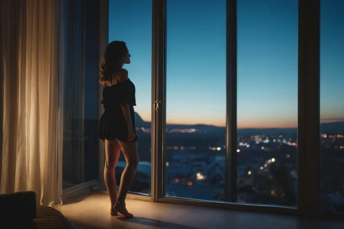 woman silhouette,silhouette,soir,window view,bedroom window,evening atmosphere,silhouetted,night light,art silhouette,the silhouette,overlooking,before dawn,nightdress,windowsill,dance silhouette,city lights,silhouettes,in the evening,vettriano,nightclothes,Photography,General,Cinematic