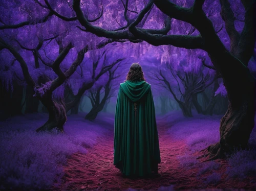 schierholtz,purple landscape,schierke,fantasy picture,schierstein,elven forest,purple,la violetta,purple wallpaper,defend,the mystical path,cloaked,conjurer,morado,world digital painting,sorceror,purple background,druidic,sorcerer,druidry,Photography,Documentary Photography,Documentary Photography 08