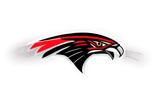 stadium falcon,nwosu,falcons,icehawks,redhawks,ysu,atascocita,chickasaws,winterhawks,redhawk,emcc,chaparrals,firehawks,warhawks,fau,mshsaa,wtoc,png image,warhawk,eihl,Photography,Black and white photography,Black and White Photography 14