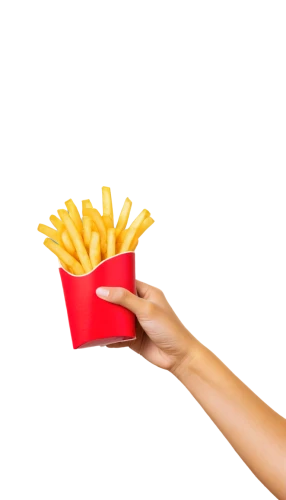 fries,friess,french fries,mcdonaldization,frites,potato fries,frie,with french fries,belgian fries,frydman,friesz,fast food,hamburger fries,fastfood,macdhui,mctwist,flaming torch,mystic light food photography,pdq,fry,Illustration,Children,Children 06