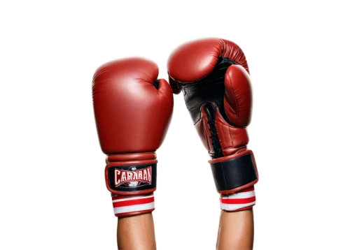 muaythai,boxing gloves,muay thai,kickboxers,boxe,boxing,pugilistic,muayad,kickboxing,pugilists,pugilist,pugilistica,sparred,prizefights,sparr,punchout,overhand,fightings,sanshou,derivable,Illustration,Abstract Fantasy,Abstract Fantasy 09