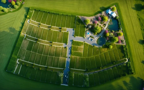 solar field,solar farm,solar power plant,soccer field,dji agriculture,football field,drone image,athletic field,playing field,chair in field,view from above,farmgate,football pitch,solar panel,drone shot,gable field,farm,aerial view,solar photovoltaic,aerial shot,Photography,General,Realistic