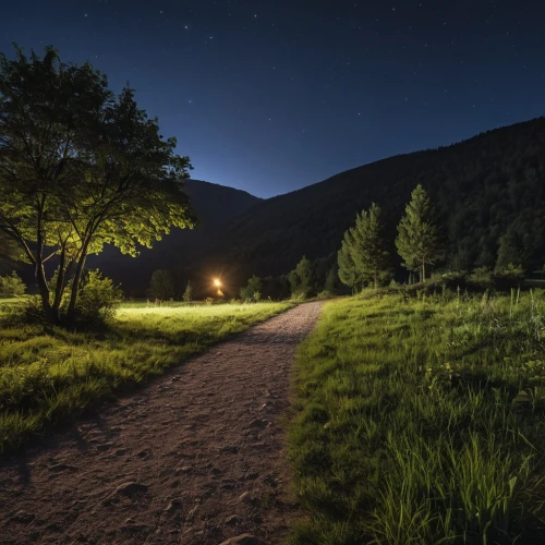 night photography,light trail,conflent,night image,light trails,hiking path,nightride,night photograph,jarbidge,headlamp,night photo,the mystical path,nightscape,long exposure light,the park at night,night scene,pathway,similkameen,nightlight,light of night,Photography,General,Realistic