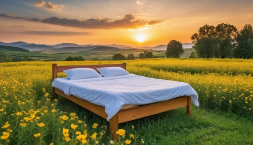 bed in the cornfield,meadow landscape,suitcase in field,chair in field,bedspreads,landscape background,field of rapeseeds,flower blanket,nettlebed,bedspread,bedding,blanket of flowers,bed linen,bedclothes,bedsheet,home landscape,background view nature,bedstead,mattress,beautiful landscape,Photography,General,Realistic