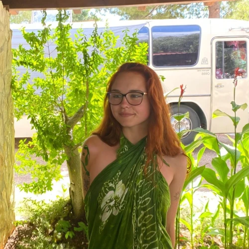 giant leaf,giant goldenrod,fern plant,bean plant,ginger plant,garden fairy,corn framing,philodendron,leaf fern,banana trees,tobacco bush,plantz,fern fronds,monstera,green mamba,young frond,sukkot,aloe vera leaf,greenhouse cover,day lily plants