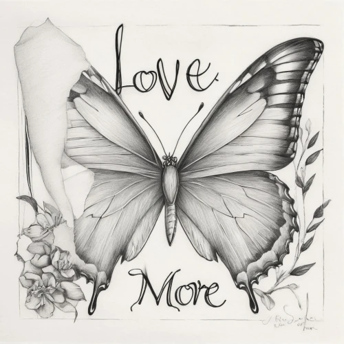 lovemore,morphos,butterfly clip art,morpho,love message note,coreldraw,heart clipart,janome butterfly,butterfly vector,butterfly background,morpho butterfly,polyvore,amortize,lovece,butterflies,moir,nature love,butterfly white,white butterfly,loveromance,Illustration,Black and White,Black and White 30
