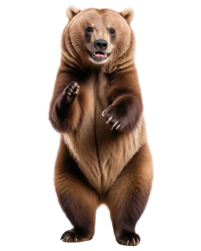 brown bear,bearlike,scandia bear,european brown bear,cute bear,bear,nordic bear,bearse,great bear,left hand bear,bearup,bearman,ursine,bearmanor,bearish,bear teddy,cub,bearss,bear bow,forebear,Illustration,Japanese style,Japanese Style 11