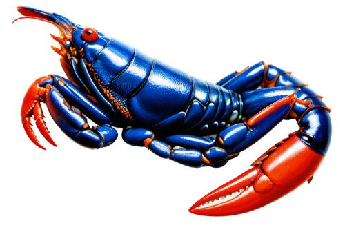 crayfish 1,crab 1,crab 2,crustacean,the crayfish 2,crayfish,homarus,lobster,black crab,lucanus,river crayfish,crustacea,decapod,scorpio,lobinger,crustaceans,sapidus,sarpalius,amphipod,crab,Illustration,Realistic Fantasy,Realistic Fantasy 19