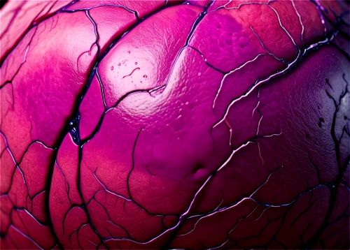 vasculature,coronary vascular,perivascular,red cabbage,arteriovenous,angiogenesis,vascularization,arterioles,alveoli,coronary artery,plant veins,lymphatic,intravascular,arteriole,angiography,bacillary,myocardium,arteriosclerosis,human cardiovascular system,endothelium,Conceptual Art,Sci-Fi,Sci-Fi 29