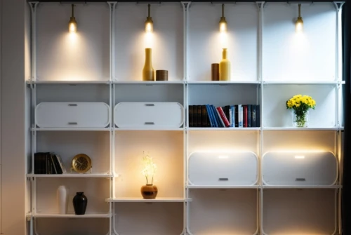 shelving,foscarini,bookcase,anastassiades,bookcases,led lamp,bookshelves,luminaires,bookshelf,shelves,search interior solutions,wall lamp,lighting system,modern decor,associati,minotti,contemporary decor,shelve,storage cabinet,halogen spotlights,Photography,General,Realistic