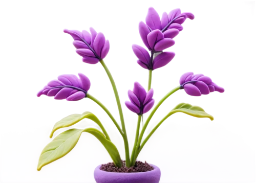 flowers png,purple tulip,purple flower,tulipan violet,purple crocus,stylidium,flower purple,hyacinthus,flower background,lavender flower,purple flowers,violet tulip,african lily,colchicum,violet flowers,croci,grape-grass lily,light purple,purple parrot tulip,laelia,Unique,3D,Clay