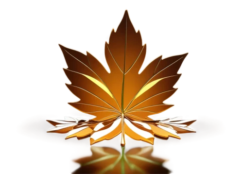 lotus leaf,flame flower,yellow maple leaf,leaf background,red maple leaf,maple leaves,lotus png,chrysanthemum background,golden leaf,spring leaf background,water lily leaf,gold bud flower,fire flower,maple foliage,retro flower silhouette,lotus leaves,leafed,flowers png,flower background,maple leave,Unique,Design,Character Design