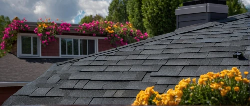 roof landscape,house roofs,house roof,rooflines,slate roof,roofline,tiled roof,dormer,dormer window,roof tiles,shingled,thatch roof,roofs,roofing,roof tile,roofed,roof,roof domes,thatched roof,thatch roofed hose,Photography,General,Sci-Fi