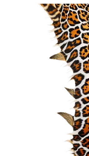 leopardskin,cheeta,leopard,cheetor,derivable,animal print,fractalius,leopards,leopard head,leopardus,cheetahs,ocelots,sumatrana,tiger png,cheetah,zebra pattern,fractal art,gepard,jaguar,jaguars,Photography,General,Fantasy