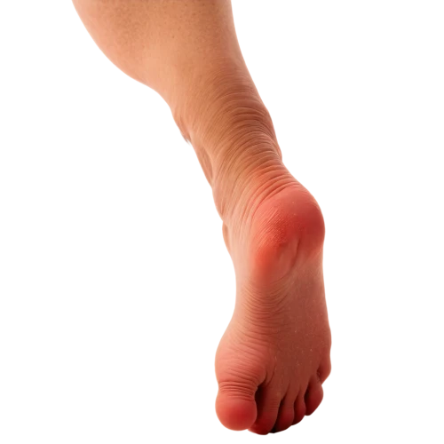 foot model,neuroma,reflex foot kidney,foot,toe,lymphedema,the foot,dorsiflexion,reflex foot sigmoid,hindfoot,foot reflex,foot reflexology,supination,bunions,metatarsal,thrombophlebitis,podiatry,polyneuropathy,navicular,phlebitis,Photography,Black and white photography,Black and White Photography 06