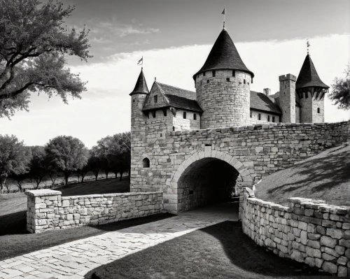 carcassone,carcassonne,chateauneuf,castle of hunedoara,gevrey,provins,vougeot,remparts,santenay,bourgueil,templar castle,monbazillac castle,citadelle,cahors,apremont,blaye,medieval castle,castel,castle wall,tournay