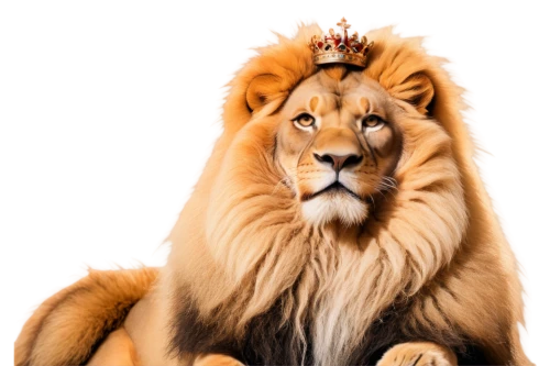 leonine,panthera leo,lion,king crown,aslan,forest king lion,lion father,lionheart,king of the jungle,male lion,lionized,lion - feline,lionhearted,magan,mandylion,african lion,lionni,skeezy lion,lionizing,lion white,Illustration,Japanese style,Japanese Style 21