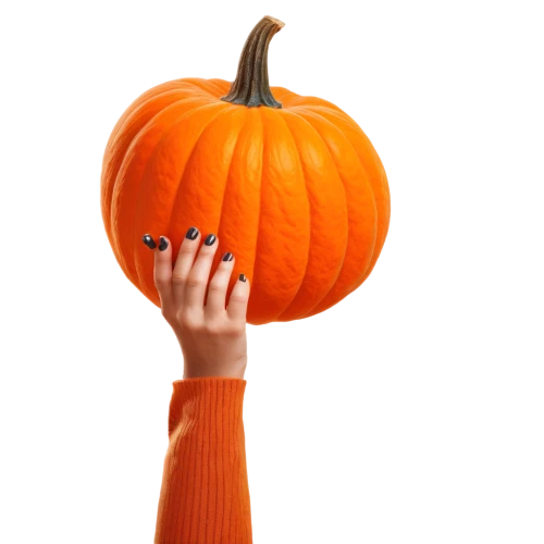 calabaza,garrison,pumpkin,halloween pumpkin,kirdyapkin,pumpkin autumn,funny pumpkins,pumpkin lantern,pumkin,pumpsie,pumpkin spider,pumpkin heads,halloween pumpkin gifts,jack o'lantern,jack o' lantern,pumpkin face,halloween wallpaper,halloween vector character,halloween background,decorative pumpkins,Photography,Artistic Photography,Artistic Photography 05