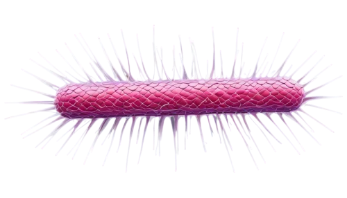 microtubules,microtubule,electromagnet,electromagnets,softspikes,flagella,centriole,microelectrode,bilayer,supercilia,inductor,nanotubes,kirlian,pyrotechnic,microvilli,nanotube,microelectrodes,mitochondrion,nanopores,microfilaments,Conceptual Art,Fantasy,Fantasy 03